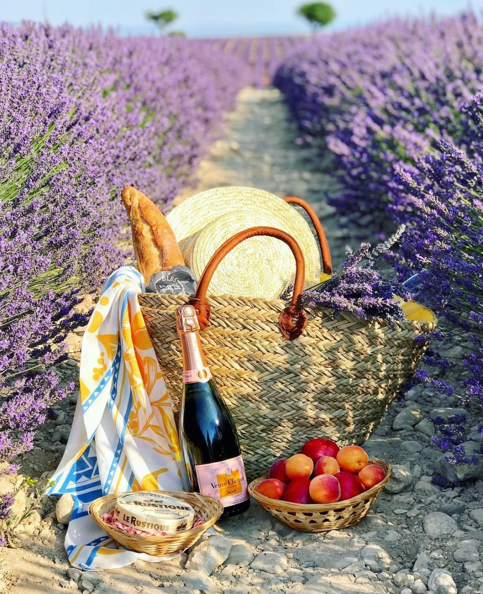 Лаванда вино Прованс