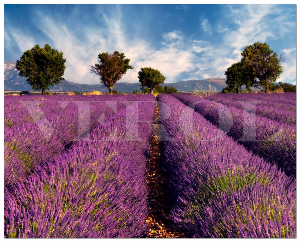 Аббатство Сенанк Прованс Франция