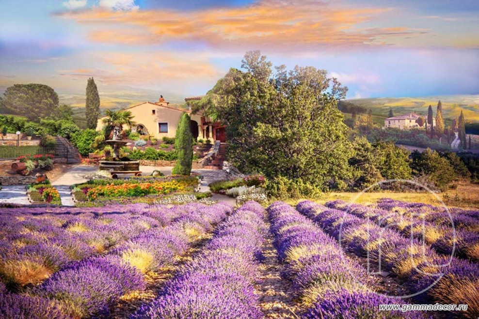 Фреска Лаванда