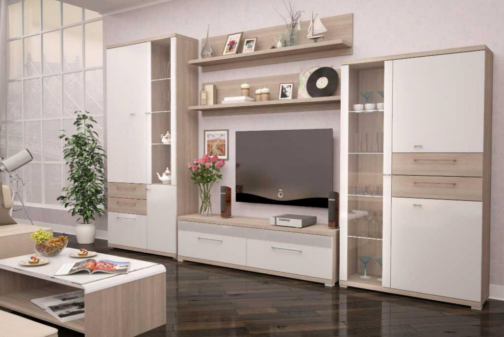 Модульная гостиная Вива-1