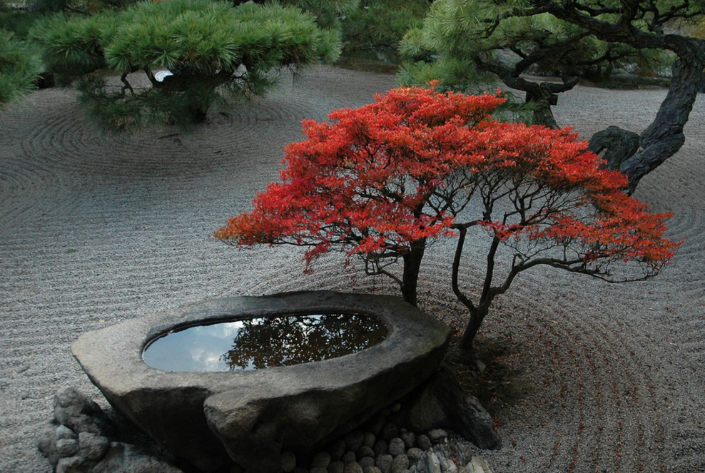 Каменные сады Японии бонсай