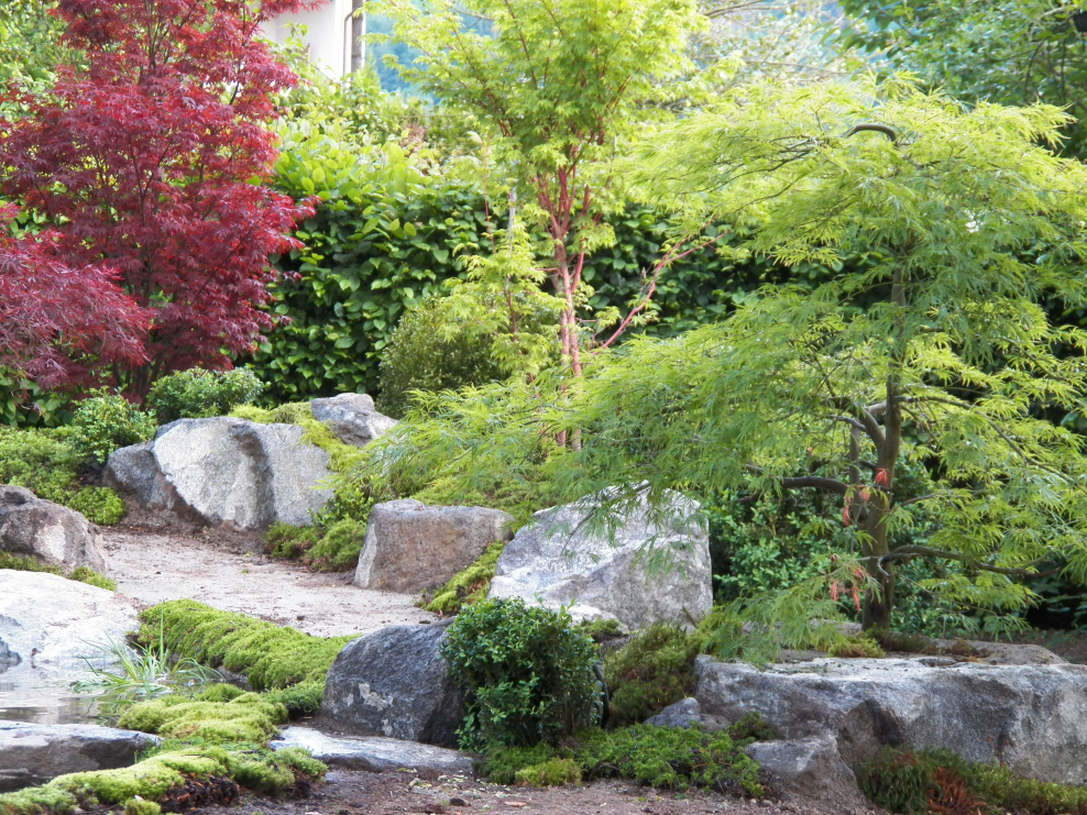 Елена Асташкина ландшафтный дизайнер