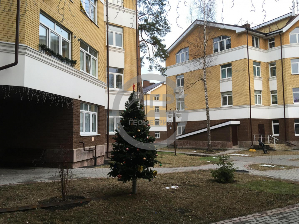 Берёзовая аллея 5ас5