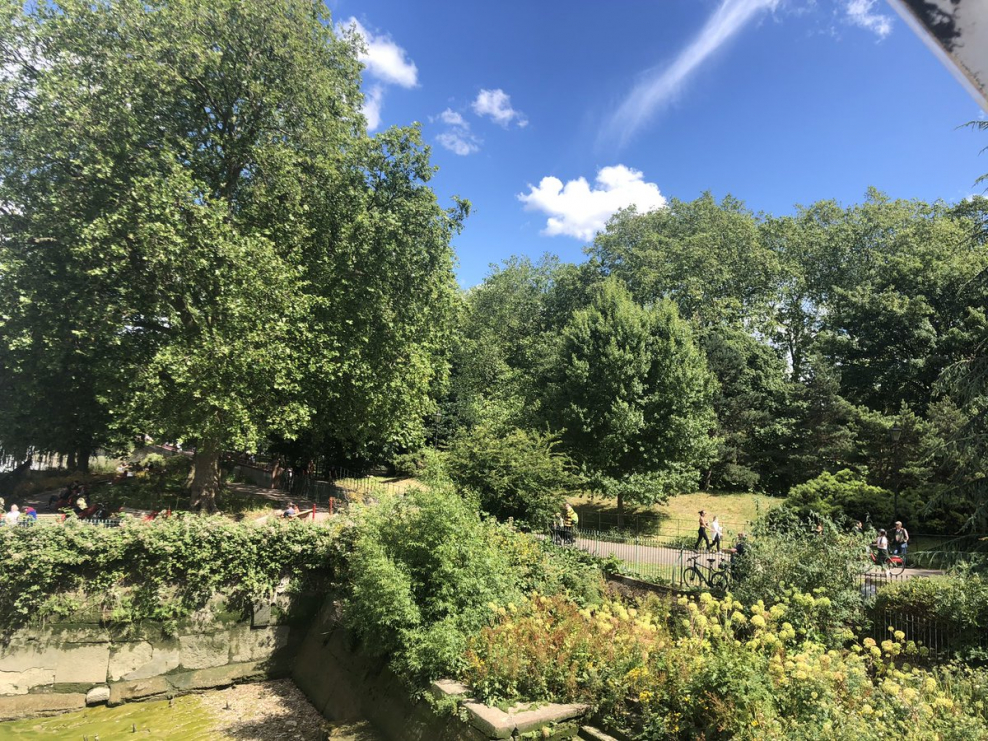 Грин парк Краснодар лите2