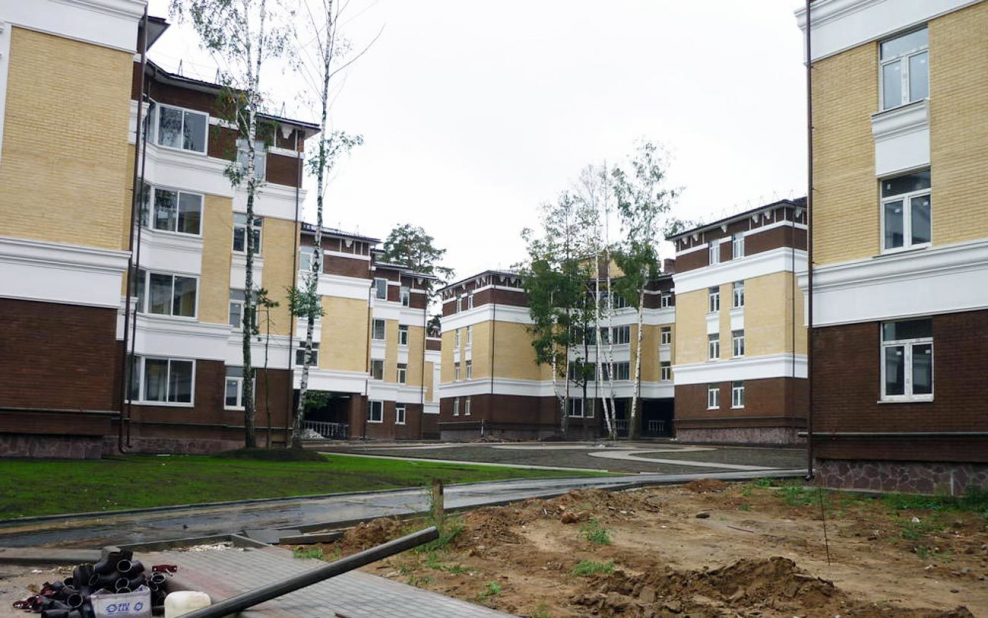 Салтыковка Московская область ул.Московская