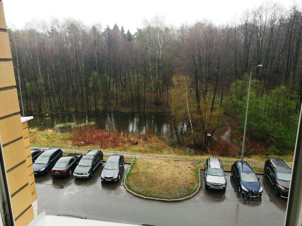 Балашиха улица Школьная