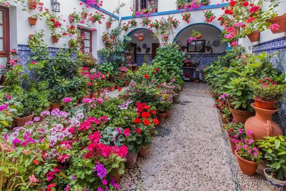 Фестиваль патио в Испании Кордова