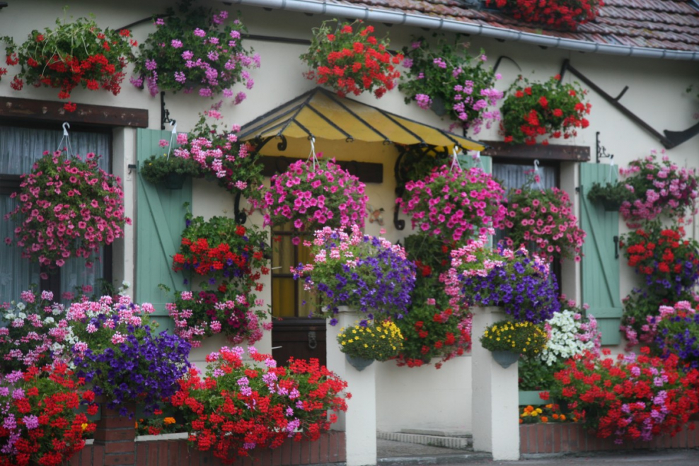 Домик в цветах