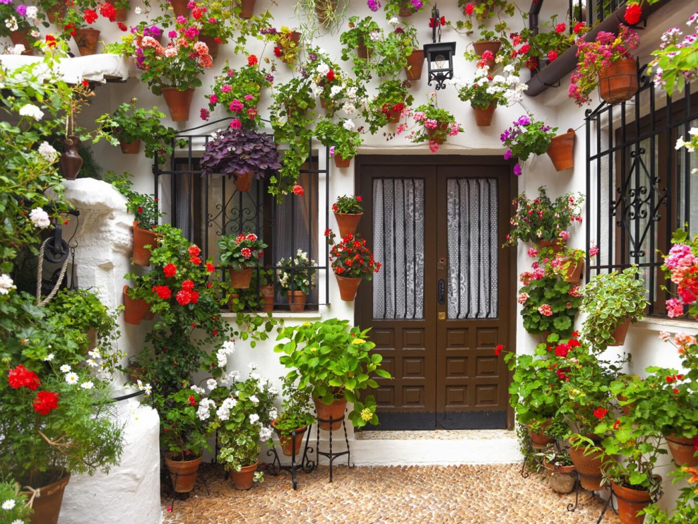 Двор с цветами