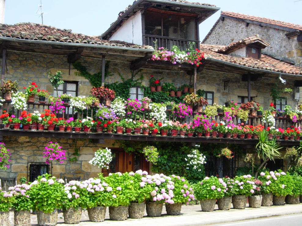 Красивые цвета в провинции