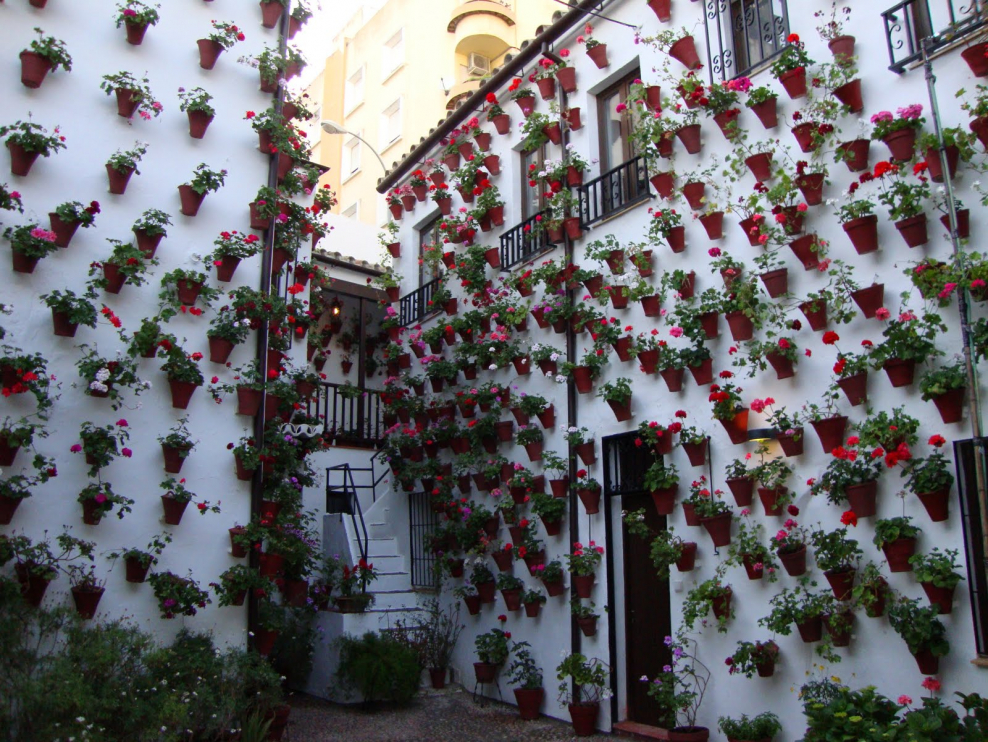 Фестиваль патио в Кордове