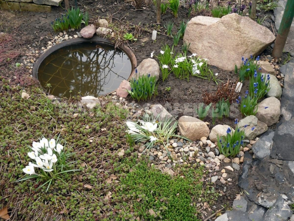 Кувшин для рокария