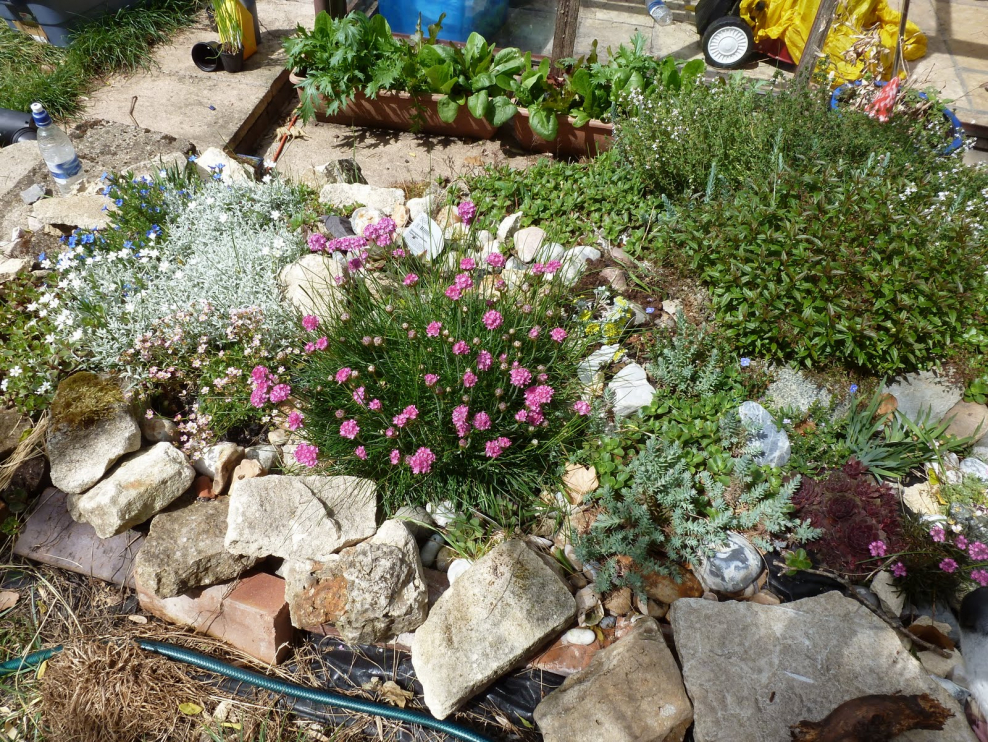 Гацания на альпийской Горке