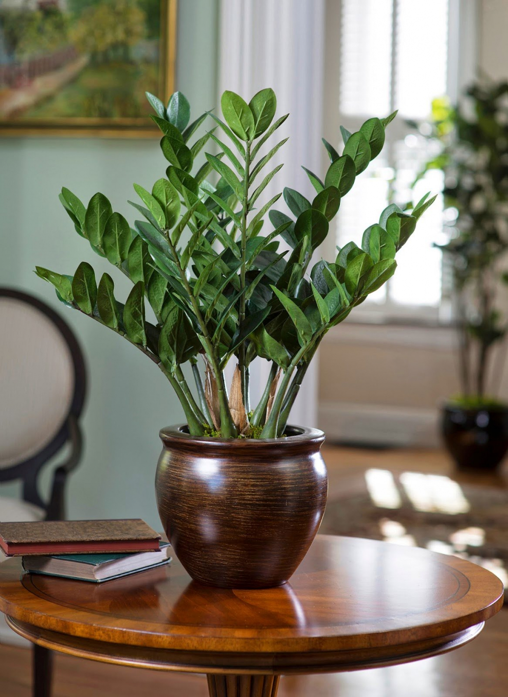 Хризалидокарпус (Пальма) lutescens .