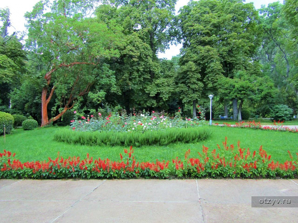 Ливадийский дворец деревья