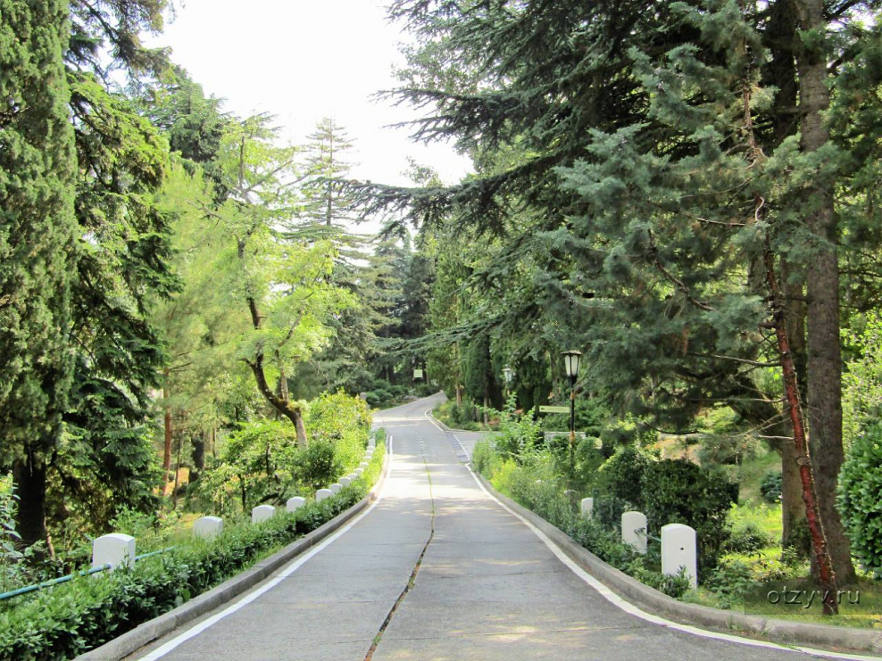 Влади́мир Никола́евич Дереве́нко Ливадия Ялта