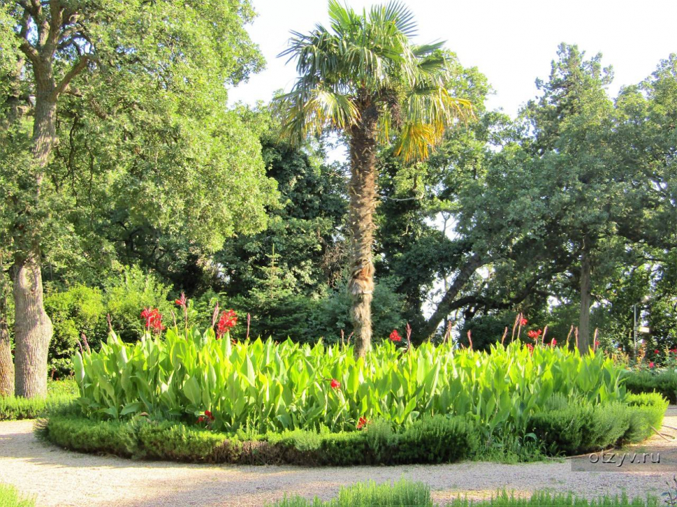 Земляниченко Ливадия Императорская