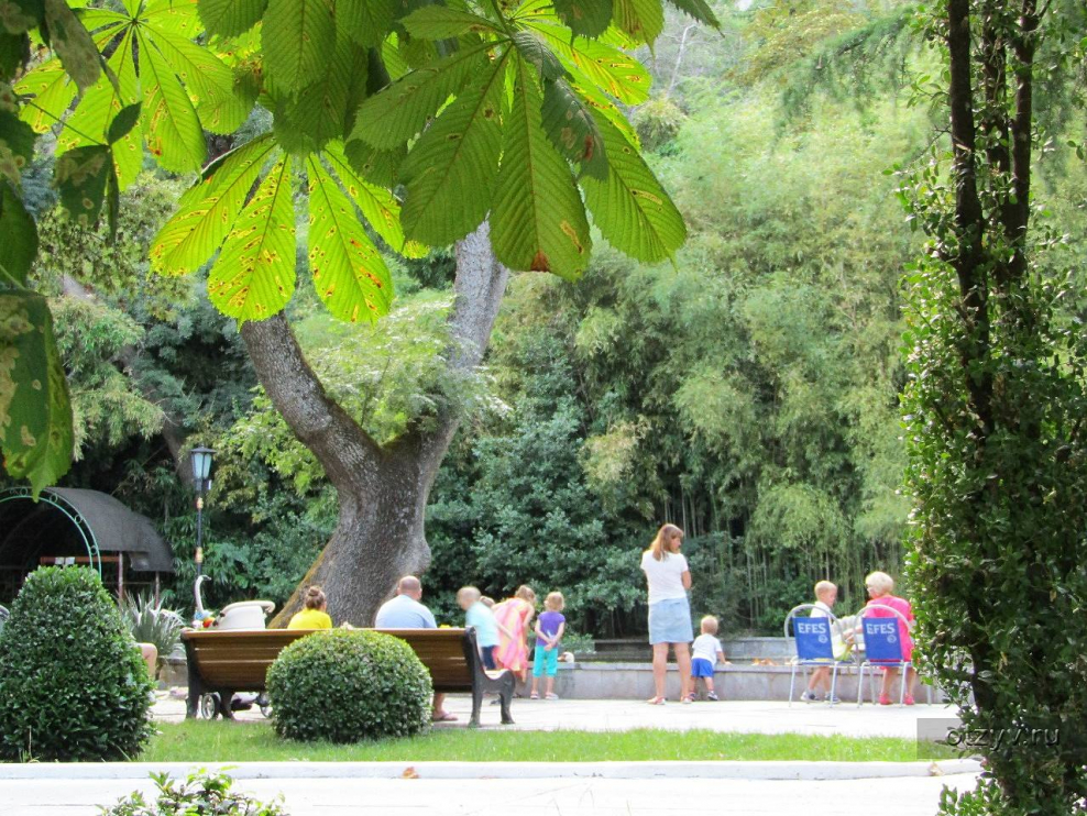 Парк в Ливадии где эксклюзивные бабочки