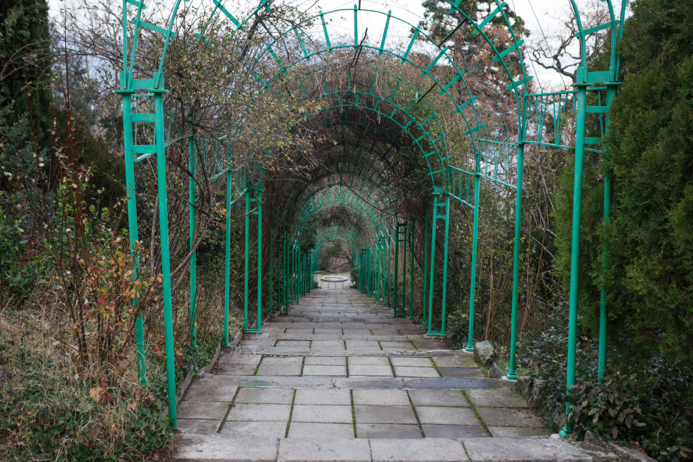 Вид на море с Ливадийского дворца