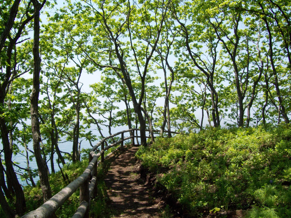 Симферополь виртуальная экскурсия