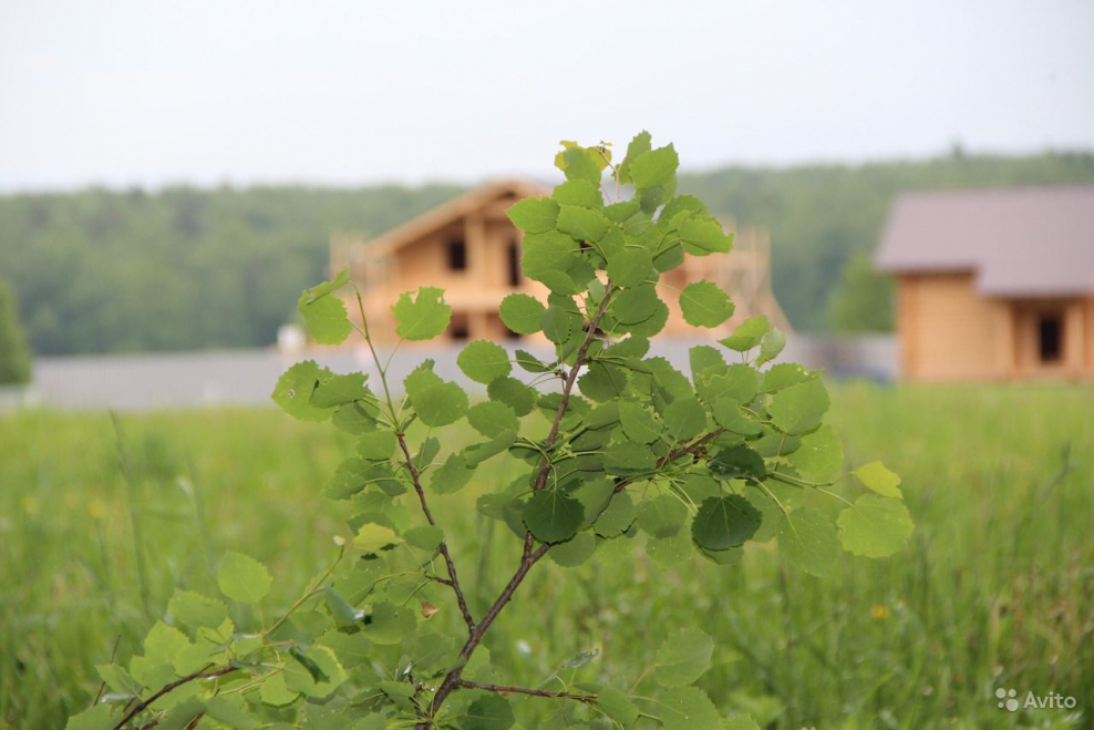 Бариново парк