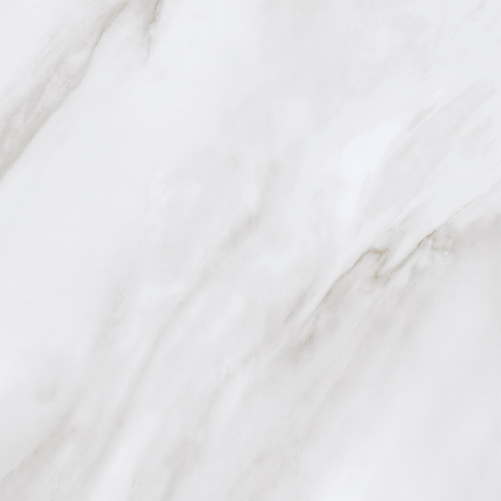 Керамогранит Ego св.серый арт.nr0022 (600х600) (1.44кв.м)