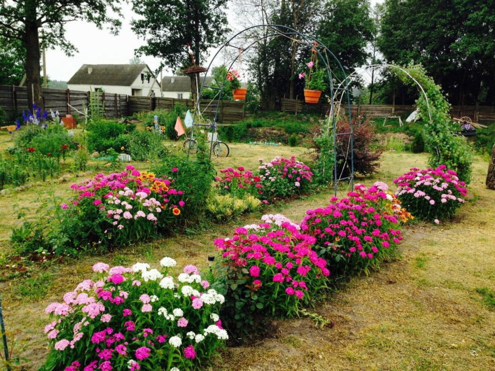 Цветочные клумбы на огороде