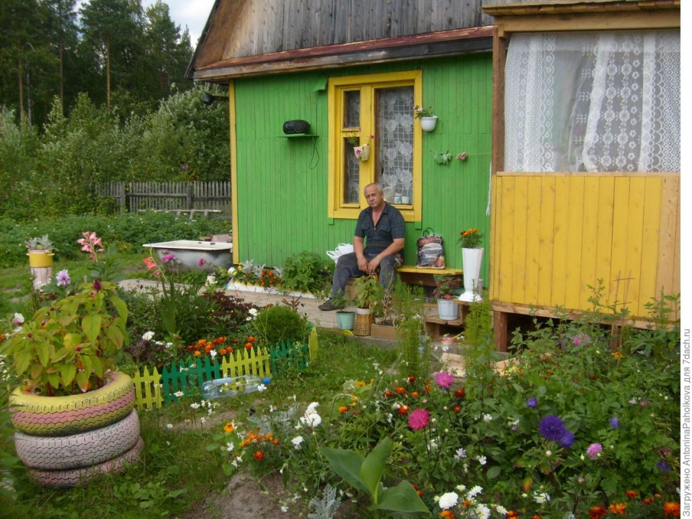 Любимый садовый участок