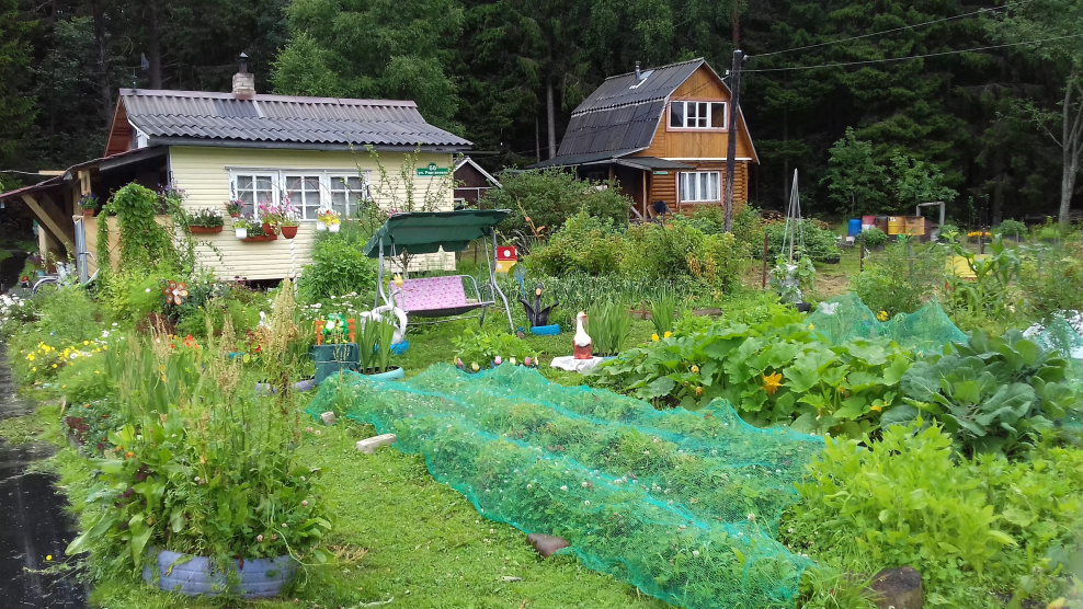 Любимая дача