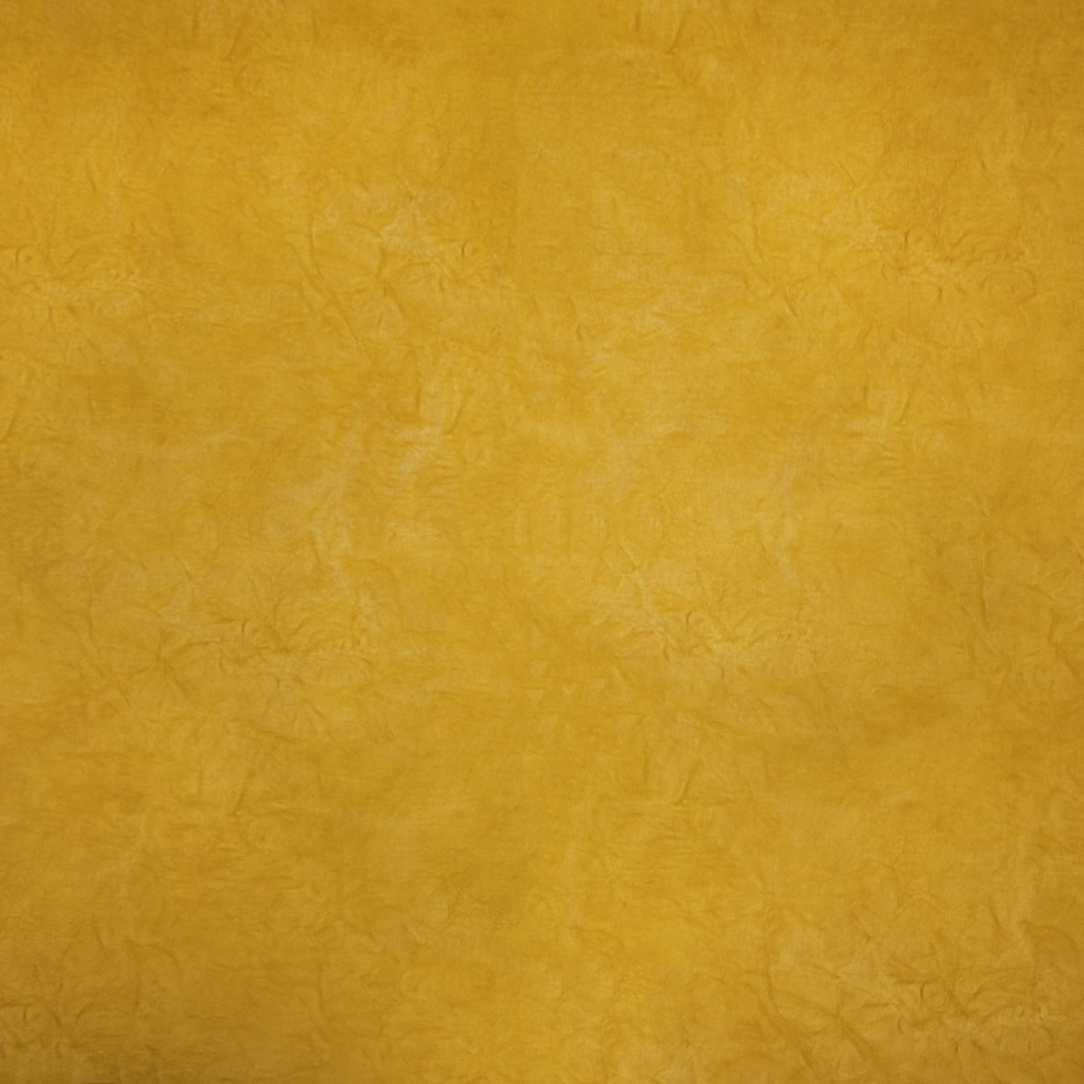 Охровый цвет