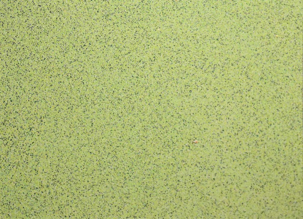 Silk Plaster MIXART 037