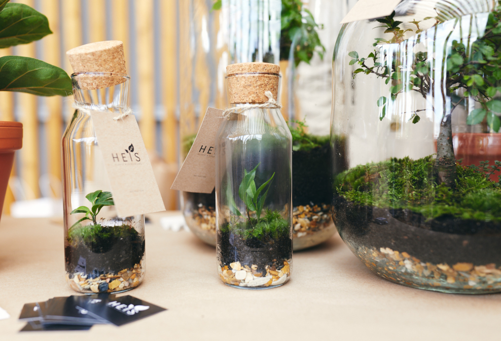 Юрий Василенко heis Plant