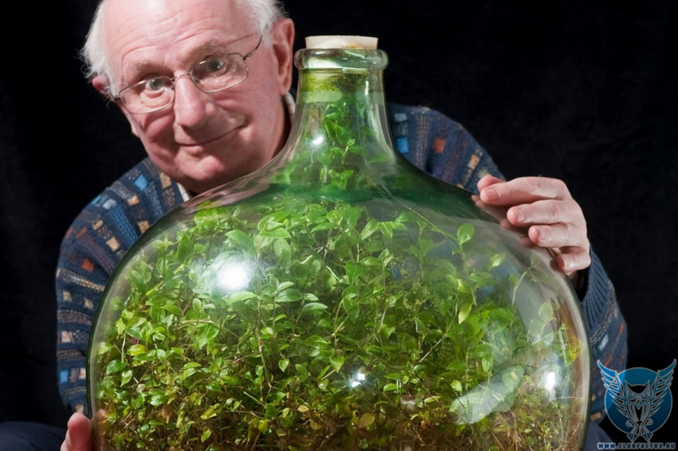 Замкнутая экосистема Дэвида Латимера