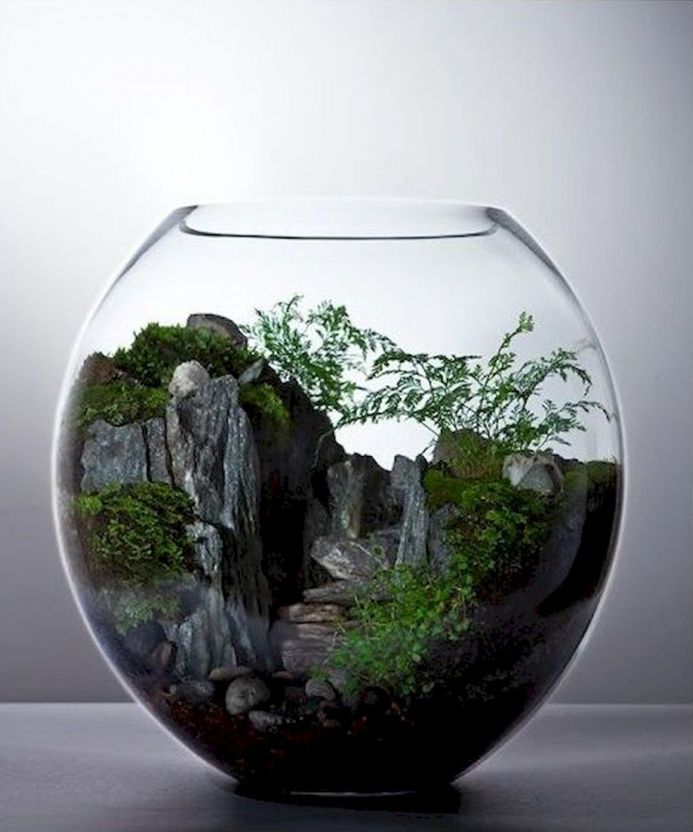 Флорариум горы скалы