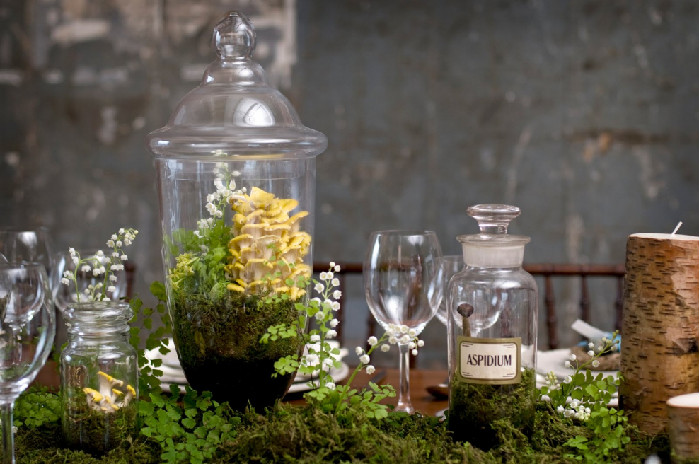 Сад в бутылке