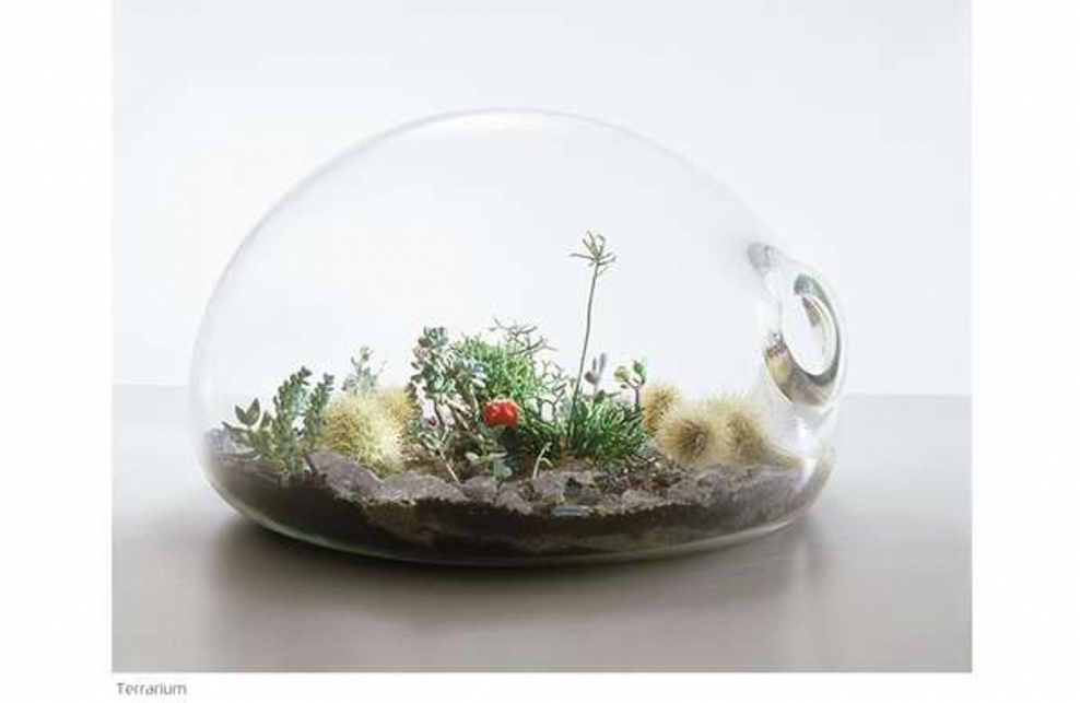 Миниатюры в стеклянных сосудах