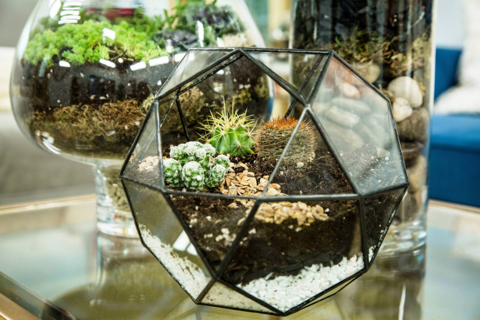 Террариум 02rhks