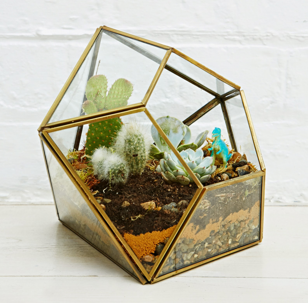 Террариум из дерева и стекла