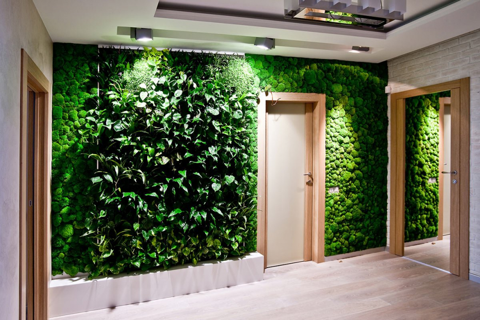 Фитостена из мха и растений