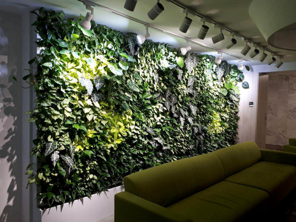 Фитостена НГАУ