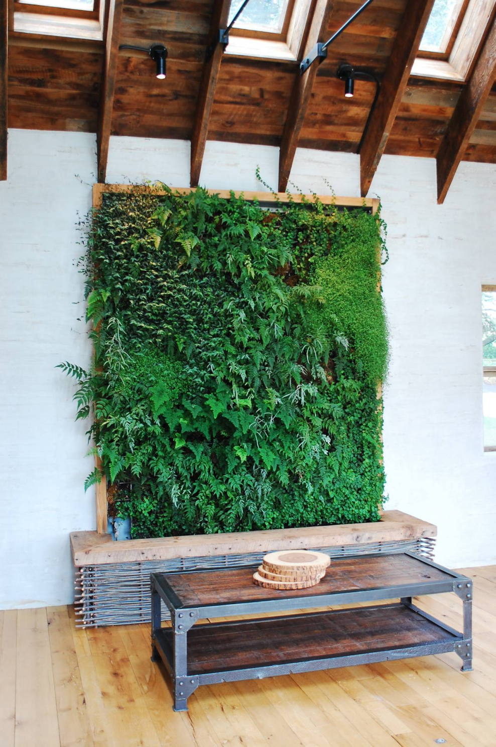 Фитостена вертикальное Озеленение