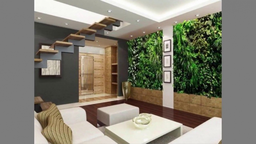 Фитостена стабилизированные растения