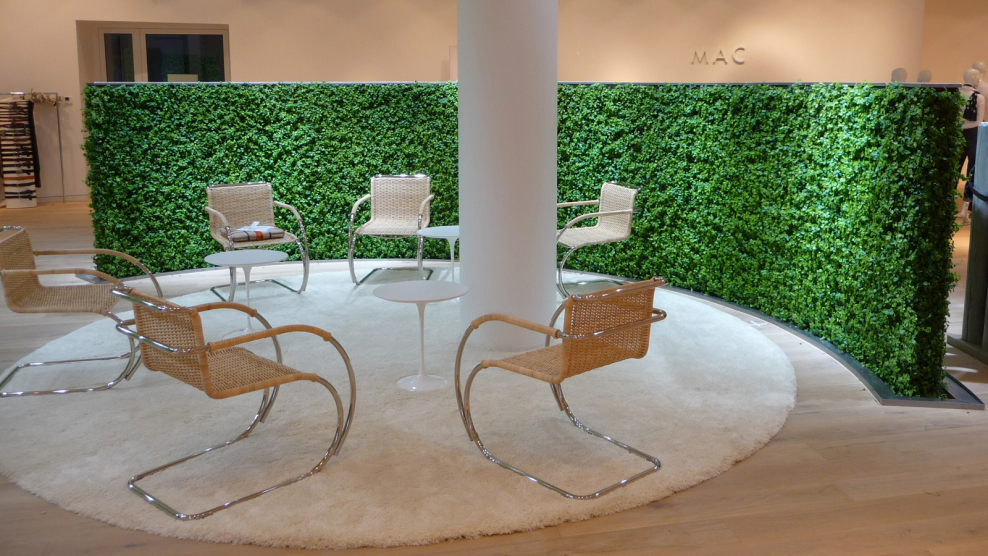 Цветы на стене в интерьере живые