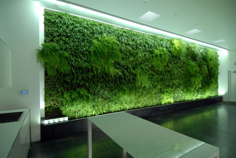 Фитопанели мох