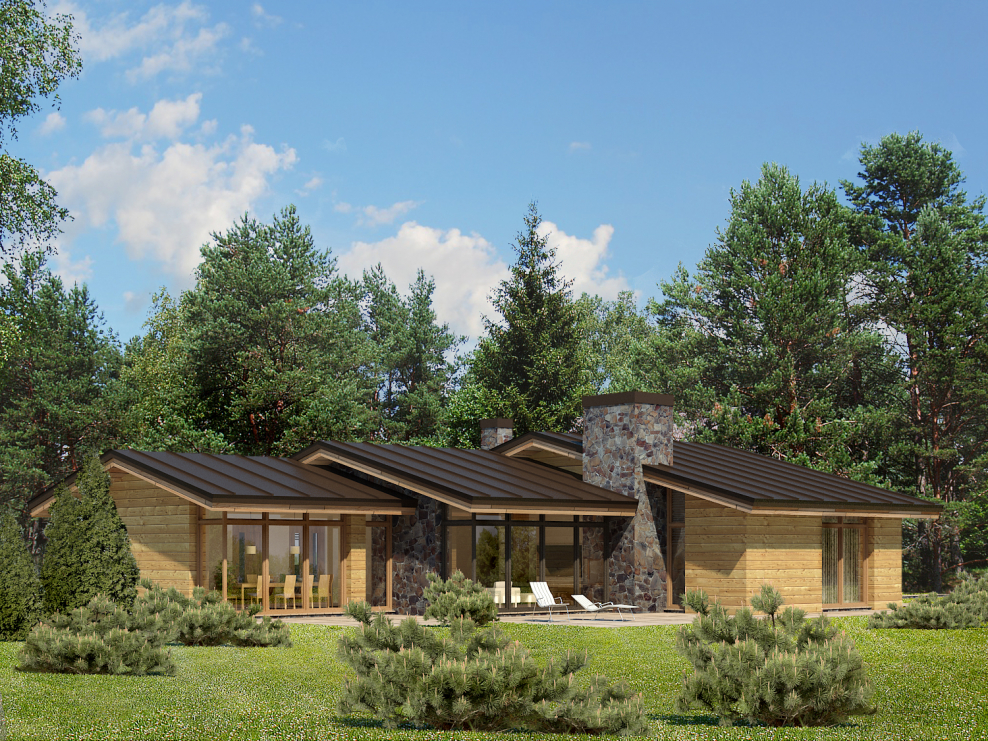 Одноэтажный деревянный дом с гаражом