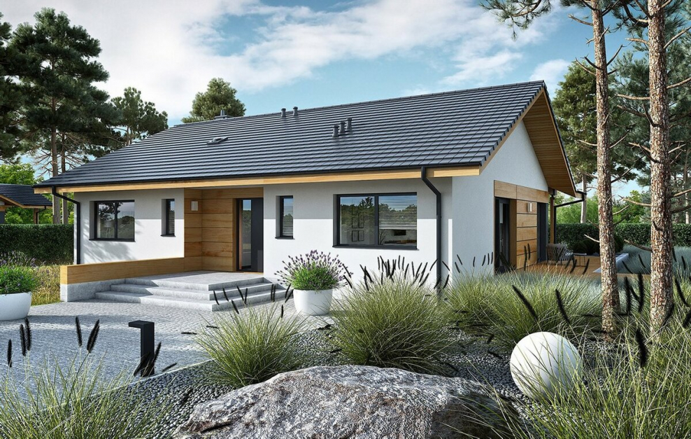 Одноэтажный экономичный дом