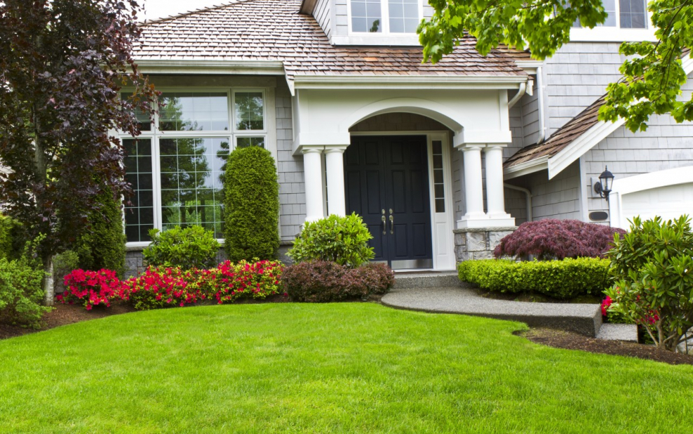 Лужайка перед домом