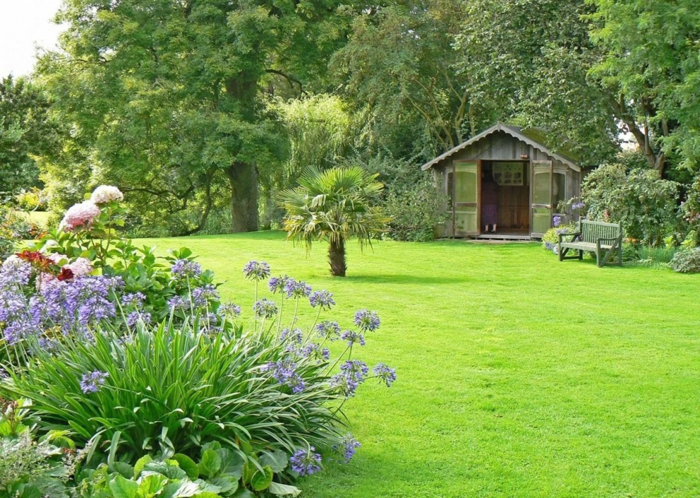 Деревенский двор с газоном дизайн