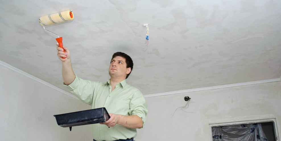 Plasterer Painter