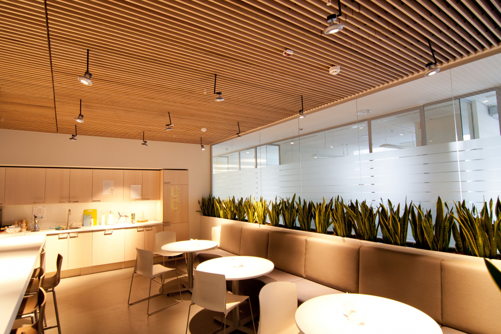 Споты в интерьере кухни